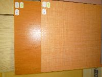 dlažba oranžová RAKO do interiéru 33,3x33,3 - Jihlava dlažba oranžová RAKO do interiéru 33,3x33,3 - Jihlava